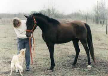 Omni with Francie and Arabian horse at the ranch in Texas